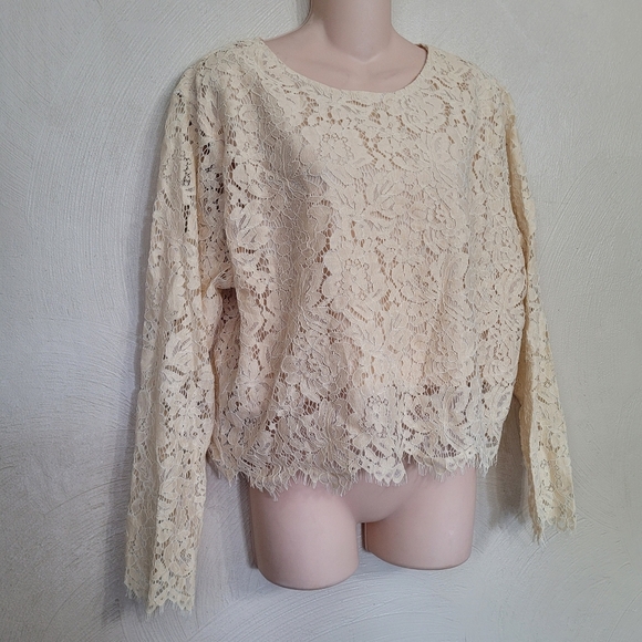 Chiciris Beige Short Sleeve Sexy Sheer Mesh Lace Crop Top Blouse Size Women 2X - Picture 7 of 11